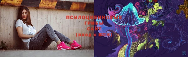 Альфа ПВП Аркадак