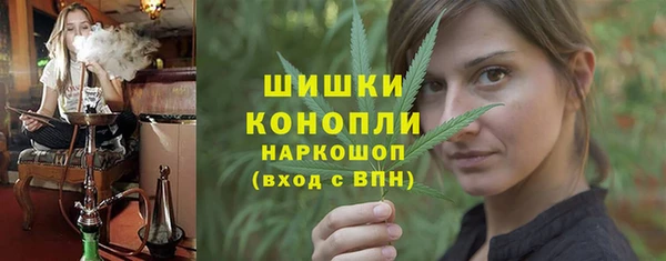 Альфа ПВП Аркадак
