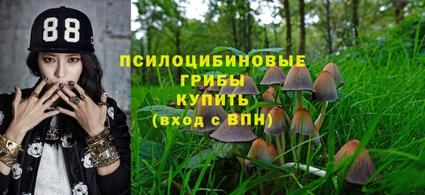 гидропоника Новый Уренгой