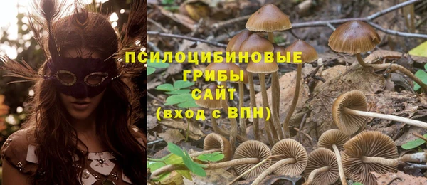 эйфоретик Армянск