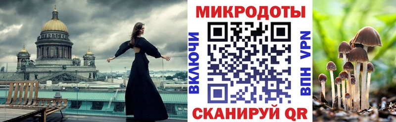 Галлюциногенные грибы Psilocybe  где найти   Арск 
